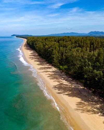 Aerial view of road in beautiful green forest with wave crushing beach and sea, topview from drone.